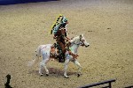 Quadrille - 00360